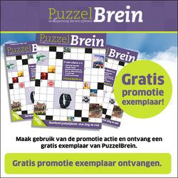 Gratis puzzelboek