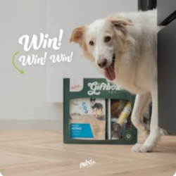 Win een Prins giftbox voor je hond of kat