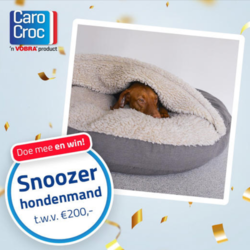 Win een Snoozer hondenmand t.w.v. €200,-