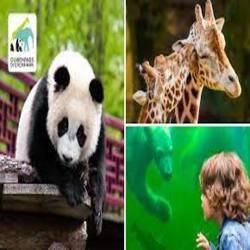 Win tickets voor Ouwehands Dierenpark Rhenen